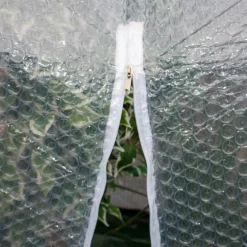 Colibri Abdeckung Dome transparent