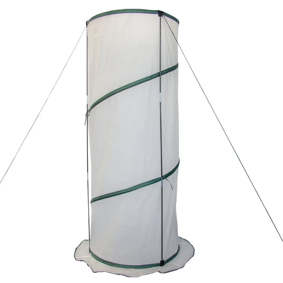 Colibri Abdeckung Pop Up transparent Sale