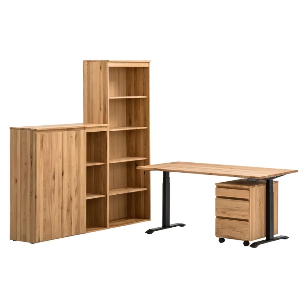 Linea Natura Aktenregal Optimal eiche Clearance