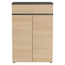 GERMANIA Aktenschrank Baltimore graphit Best