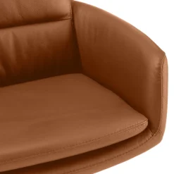 Dieter Knoll Armlehnstuhl Everest camel 664 Online