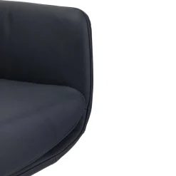 Dieter Knoll Armlehnstuhl Hampton Kat. 05 Dino, 609 dunkelblau Online