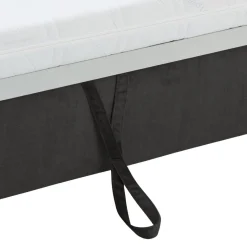 Johann Jakob Bettsofa Pisa anthrazit Sale
