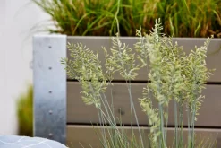 PLUS Blumenkasten Cubic braun, grau Hot