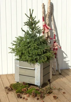 PLUS Blumenkasten Cubic braun, grau Hot