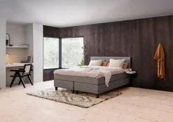 JENSEN Boxspringbett First grau Outlet