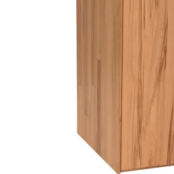 TEAM 7 Drehtürenschrank Schranksyst buchefarbig