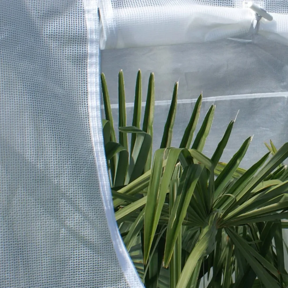 Colibri Ersatzfolie transparent