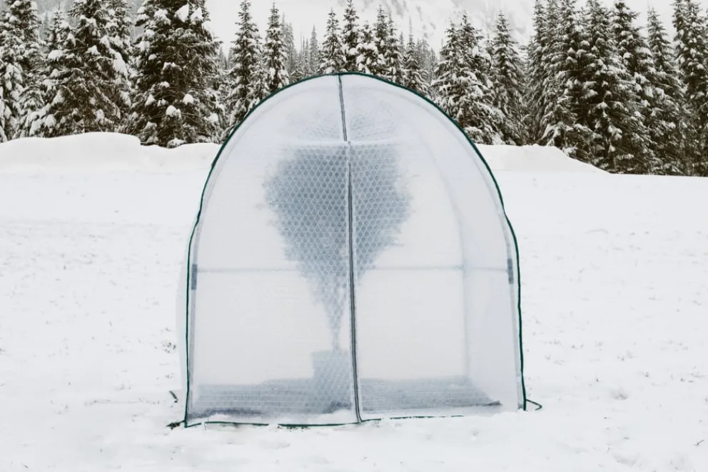 Colibri Ersatzfolie Yurt transparent Clearance