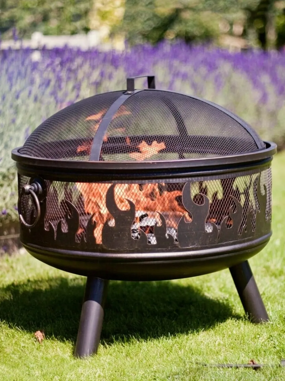 Buschbeck Feuerschale & Grill Wildfire schwarz Online