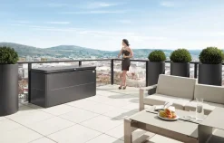 Biohort Gartenbox Loungebox 200 dunkelgrau Outlet