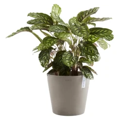 Ecopots Gartentopf Amsterdam taupe Discount