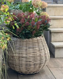 Van der Leeden Gartentopf Drypot Tina graubraun Discount