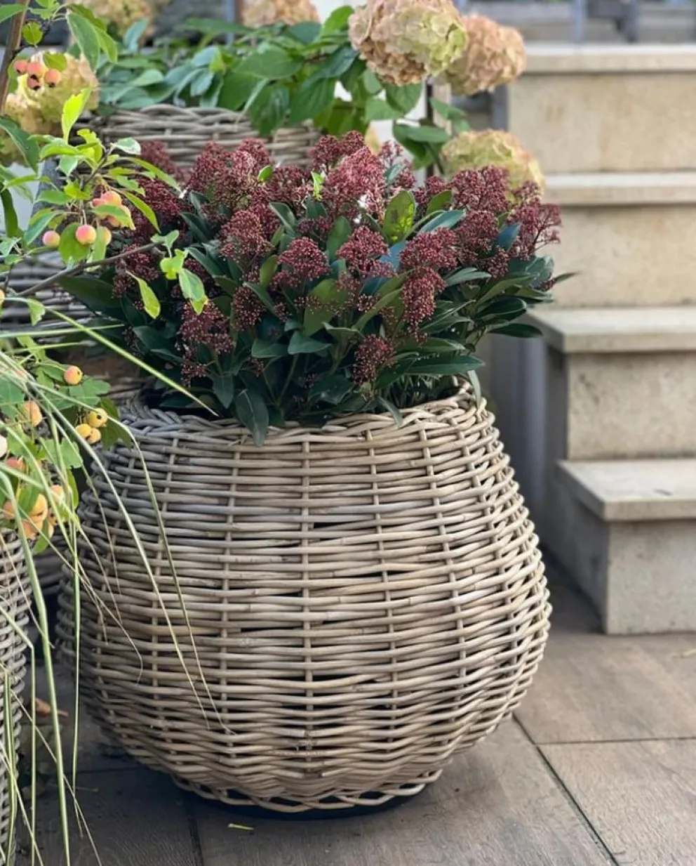 Van der Leeden Gartentopf Drypot Tina graubraun Discount