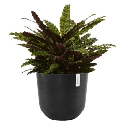 Ecopots Gartentopf Oslo dunkelgrau Hot