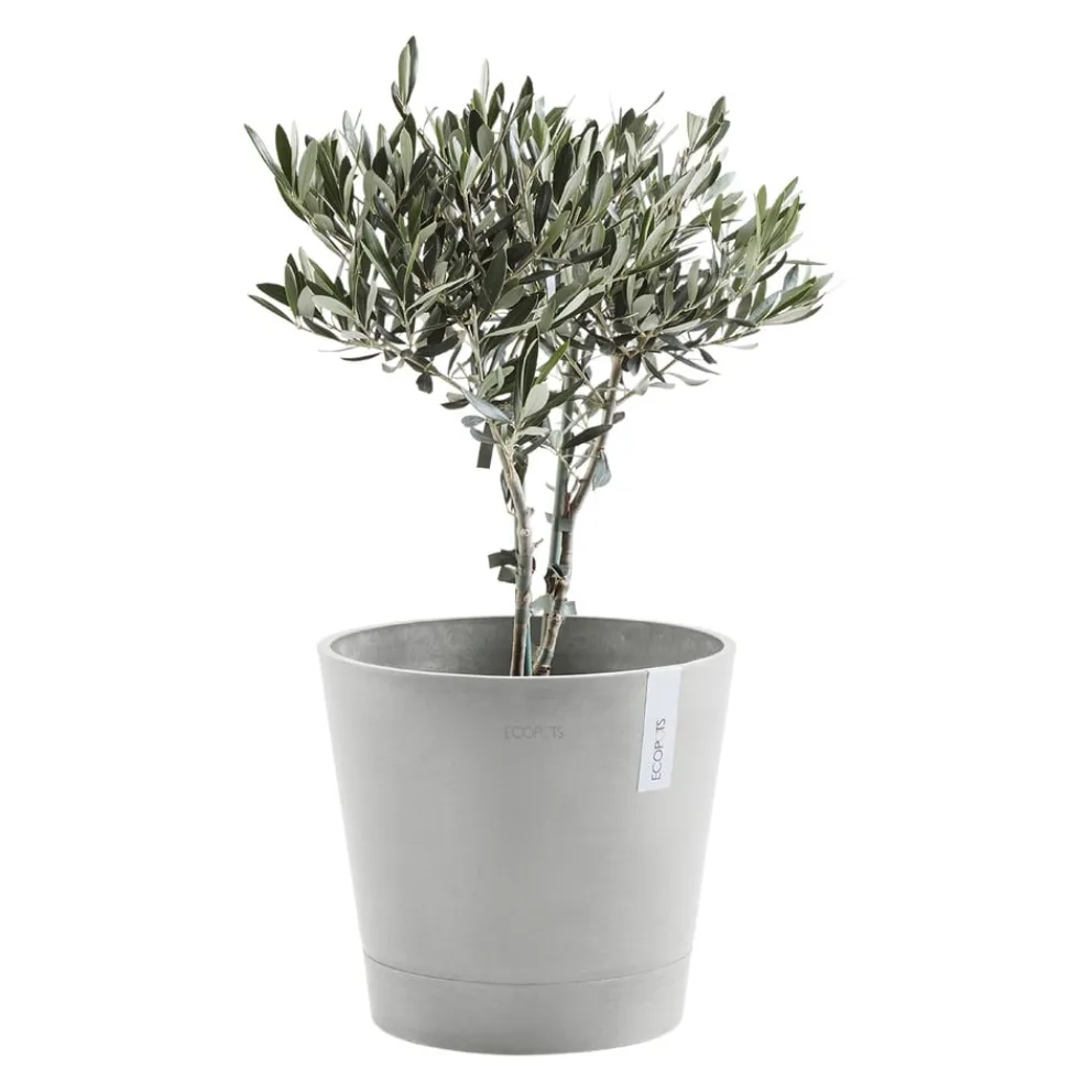 Ecopots Gartentopf Venice hellgrau Discount