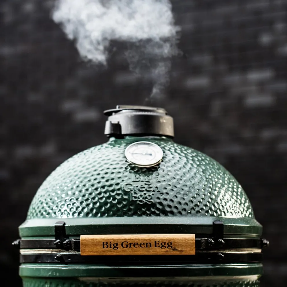 Big Green Egg Holzkohlegrill Large BBQ dunkelgrün Best