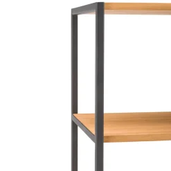 Lomoco Regal Atelier eichefarbig