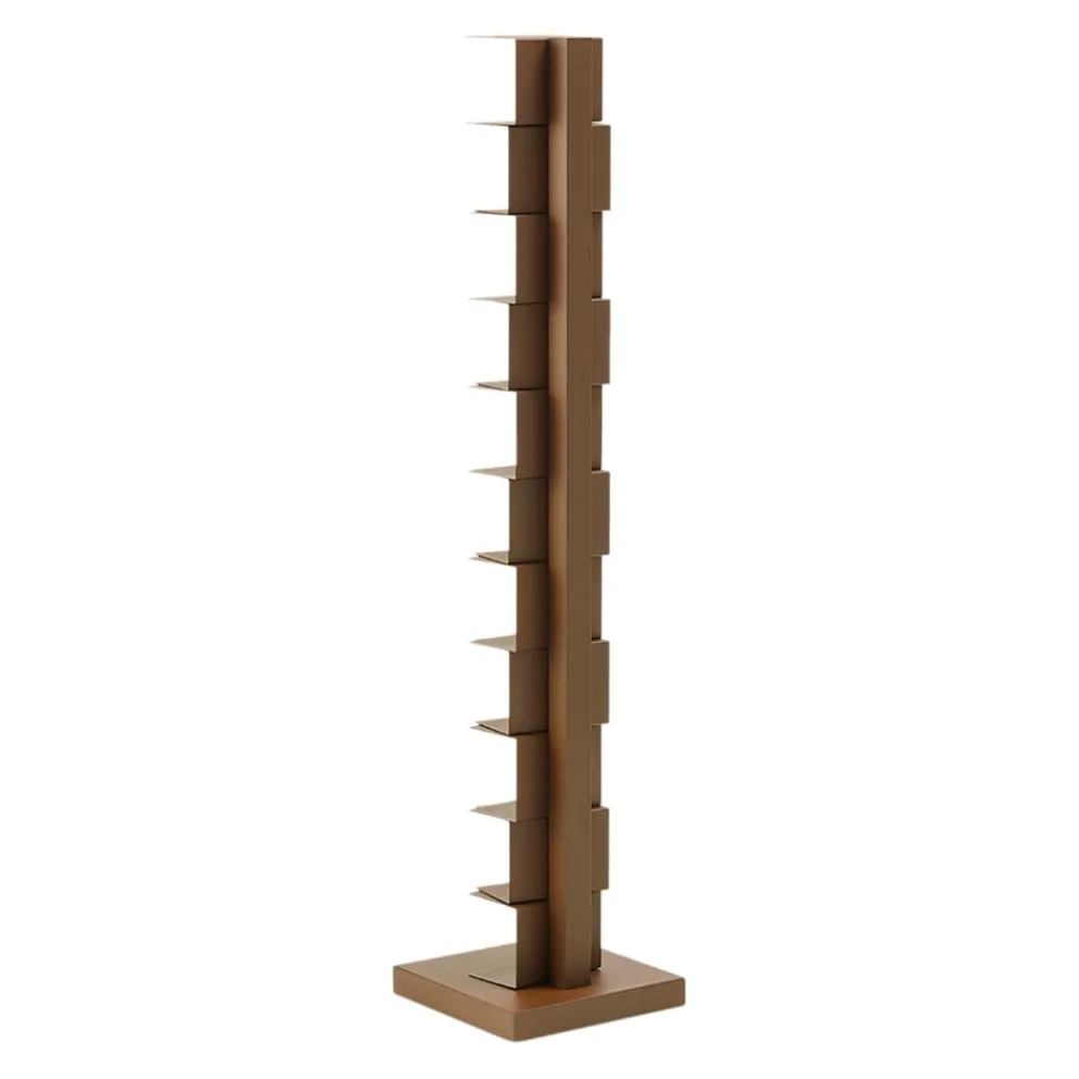 Opinion Ciatti Regal Ptolomeo braun Discount