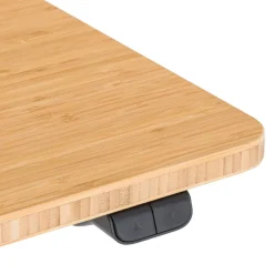 BYYU Schreibtisch Motion Best