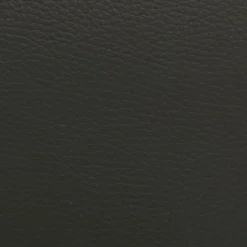 Strässle Sessel Neo oliv Clearance