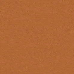 FLEXLUX Sessel Sini Nature 0720 Cognac Discount
