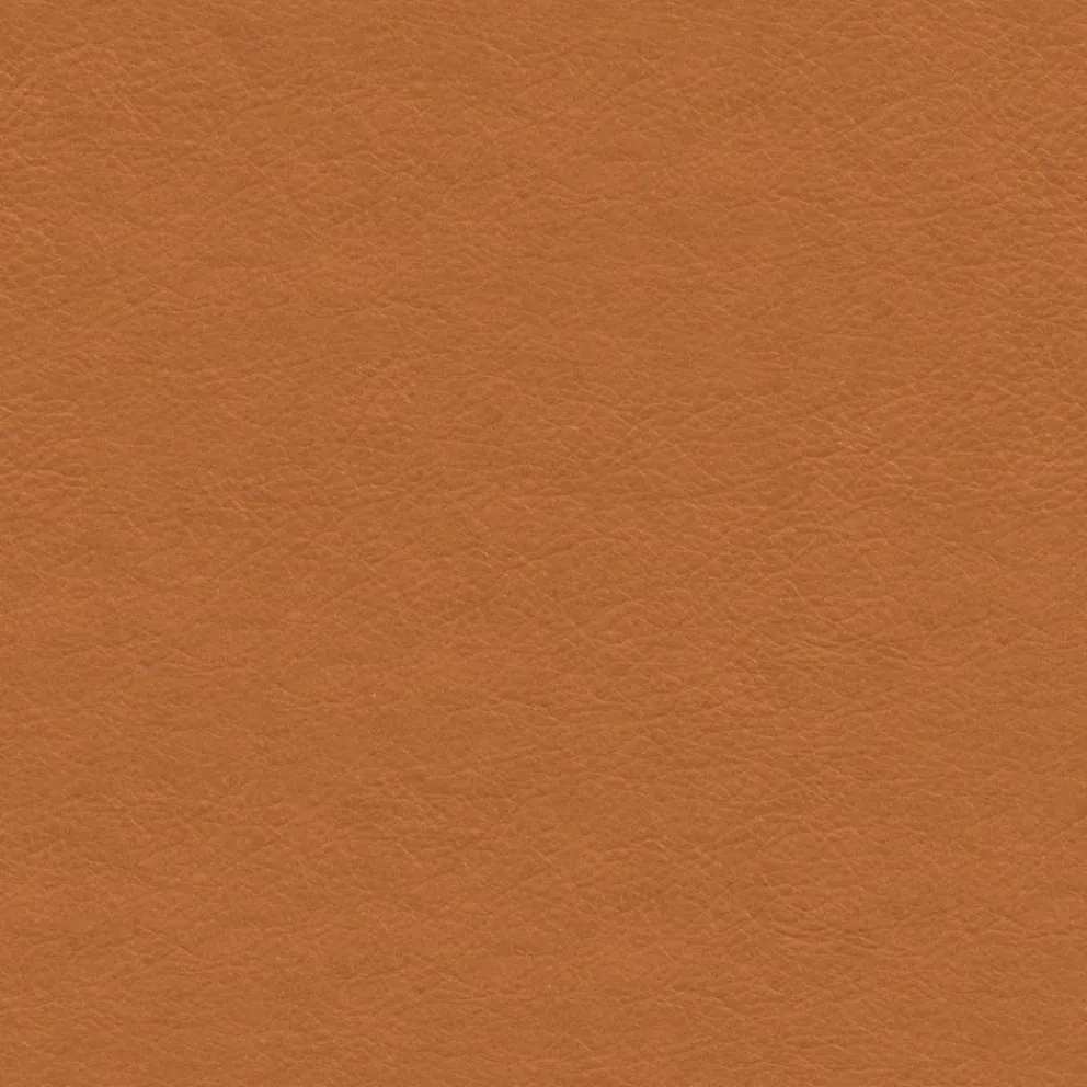FLEXLUX Sessel Sini Nature 0720 Cognac Discount