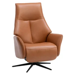 Welnova Sessel Stylux 8111 cognac Online