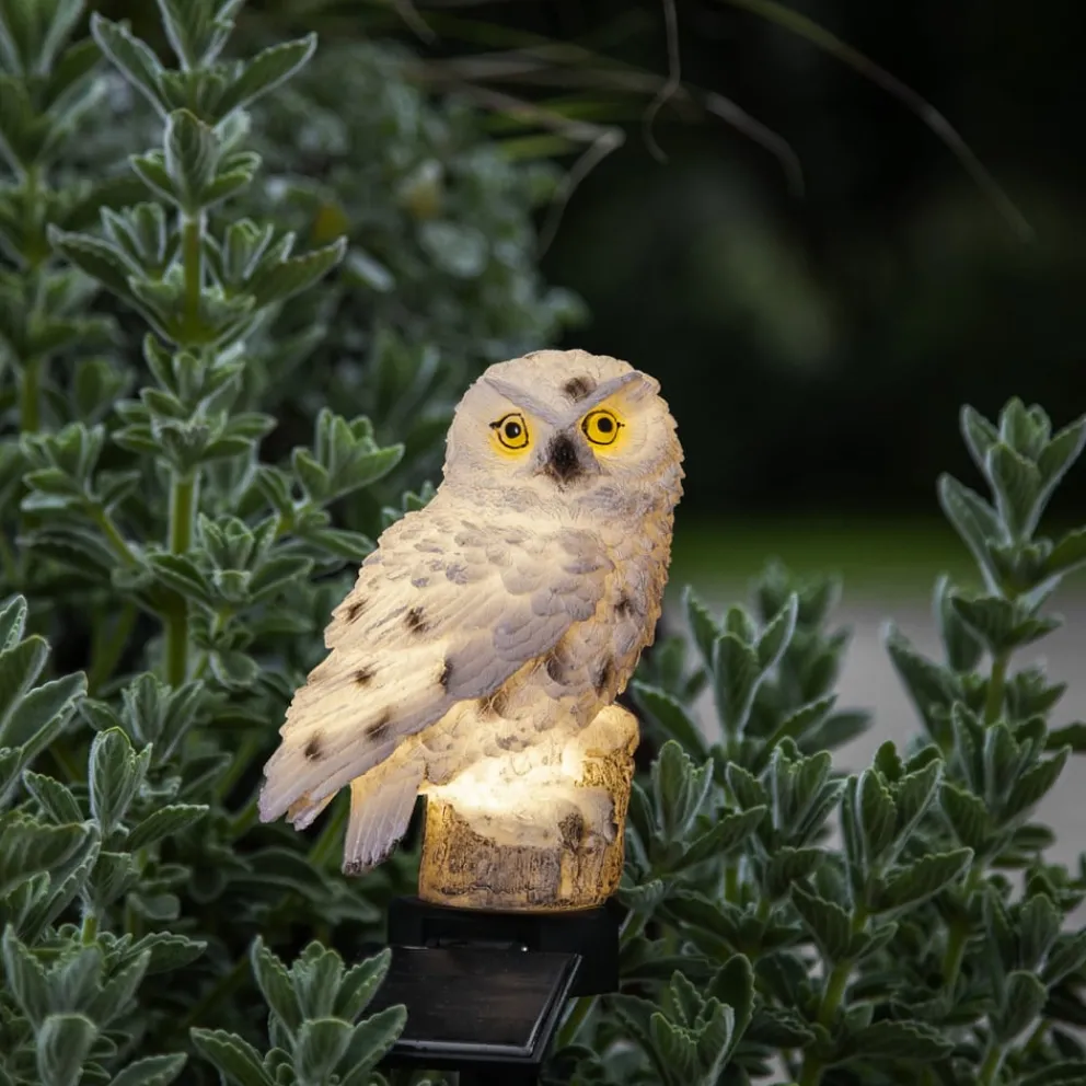 Star Trading Solarleuchte Owl Clearance