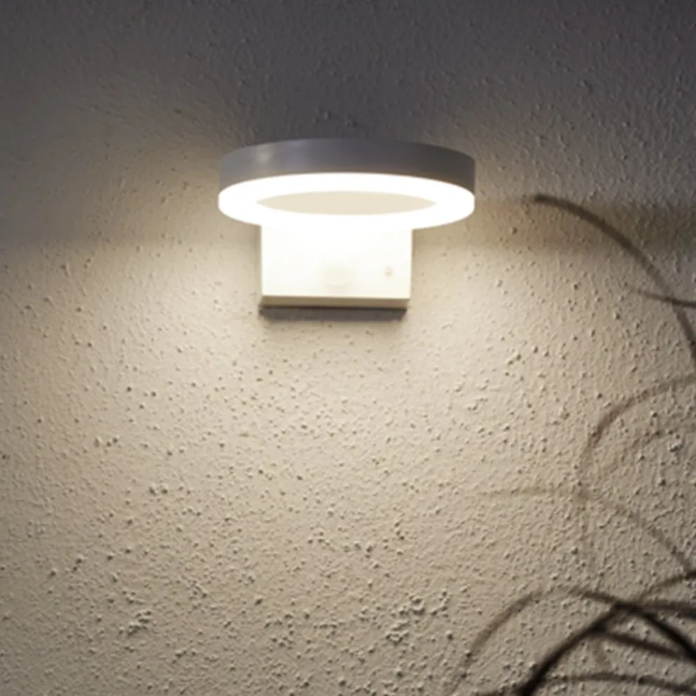 Star Trading Solarleuchte Solar Vidi weiss Discount