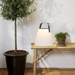 Star Trading Solarleuchte Solia weiss New